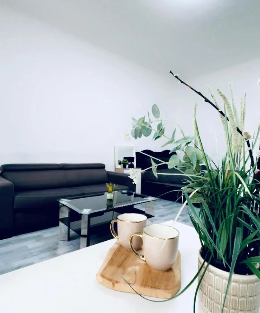 Stylish Studio Apt, 15 Minutes To Rathausplatz Vienna Apartment