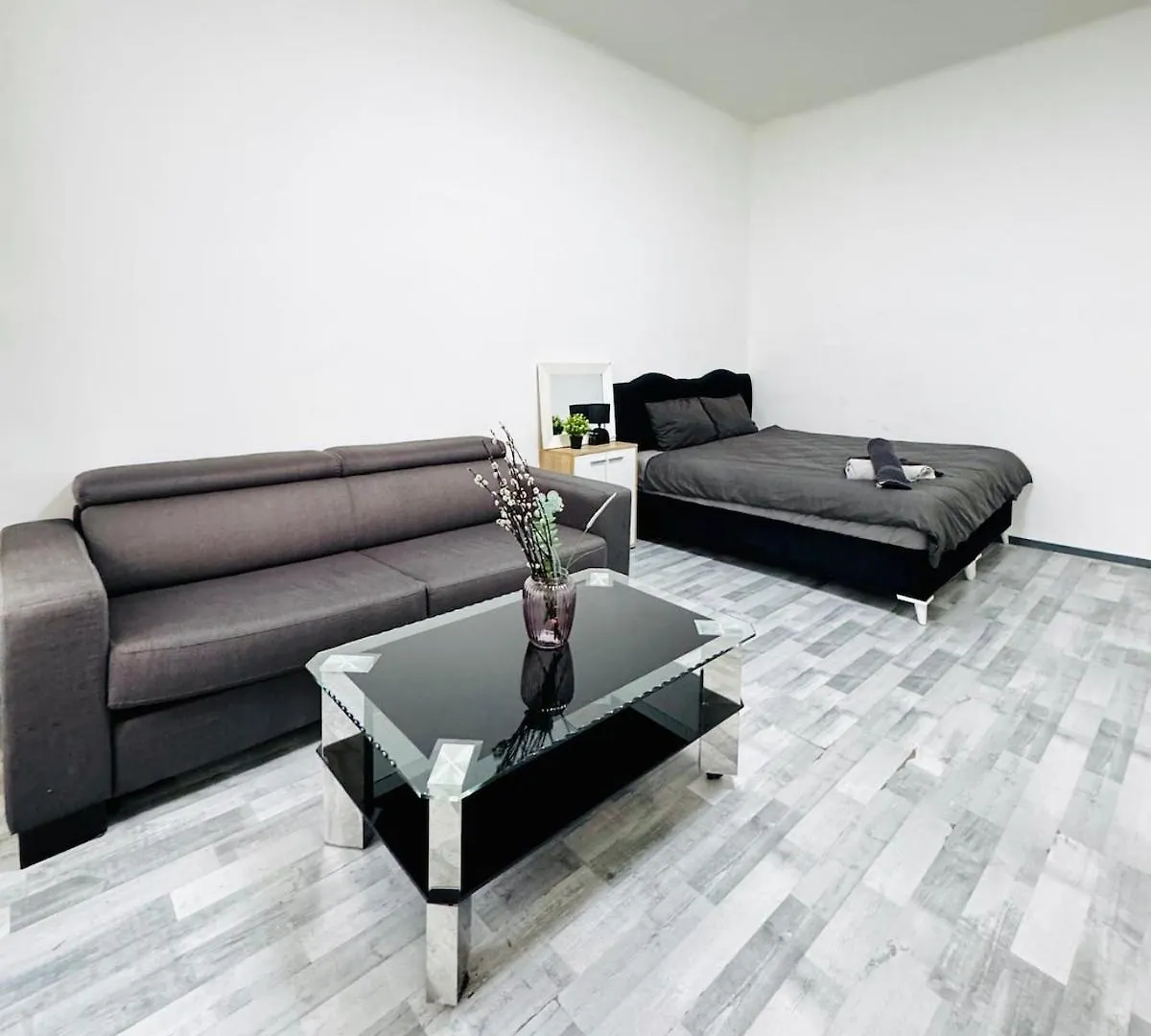 Stylish Studio Apt, 15 Minutes To Rathausplatz Vienna